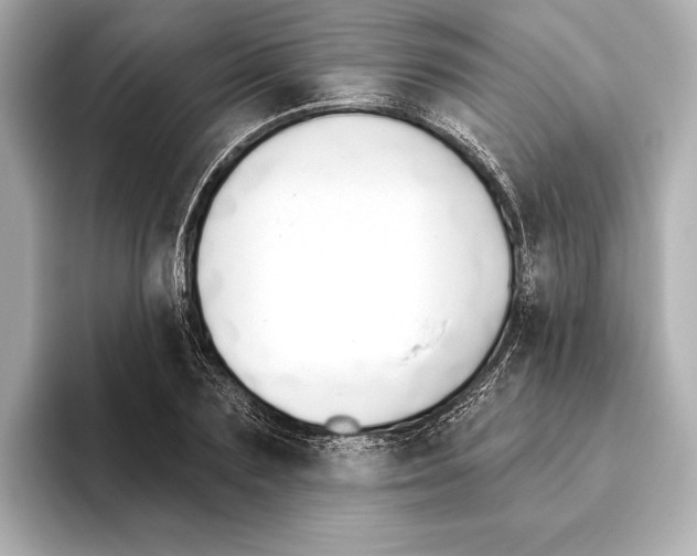 X0000095680883200802051249