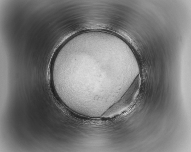 X0000095680885200802051249