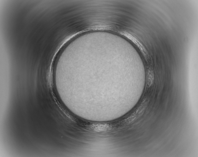 X0000095680886200802051249