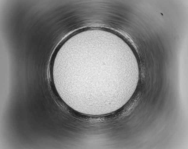 X0000095680887200802051249