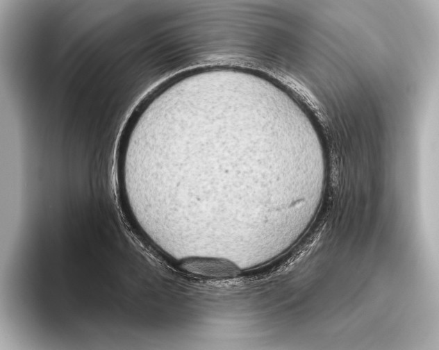 X0000095680888200802051249