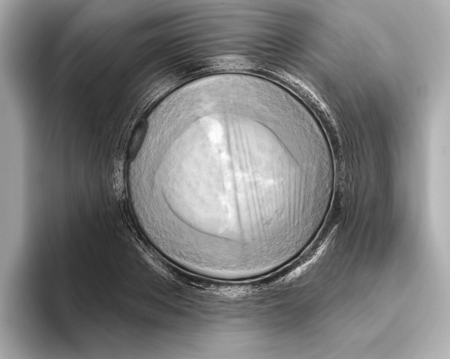 X0000095680889200802051249