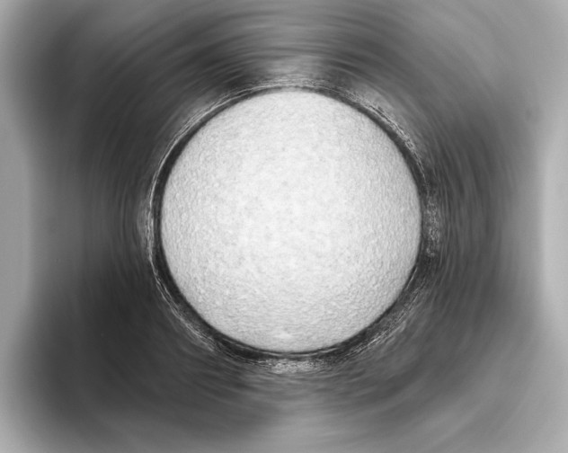 X0000095680890200802051249