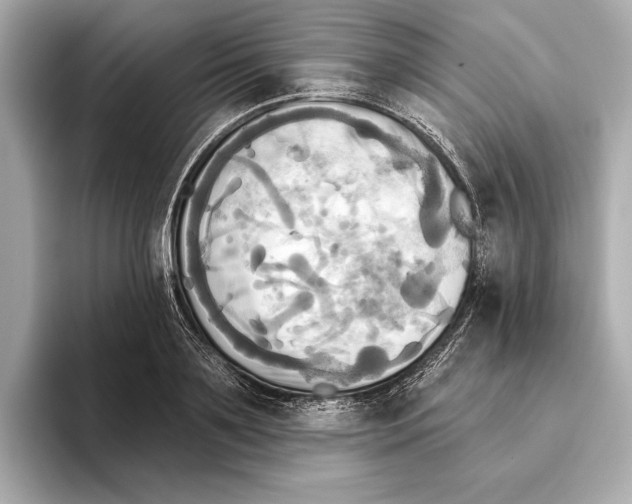 X0000095680891200802051249