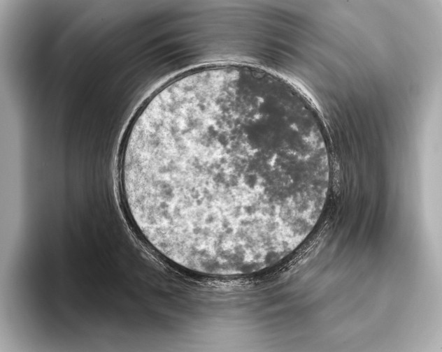 X0000095680895200802051248