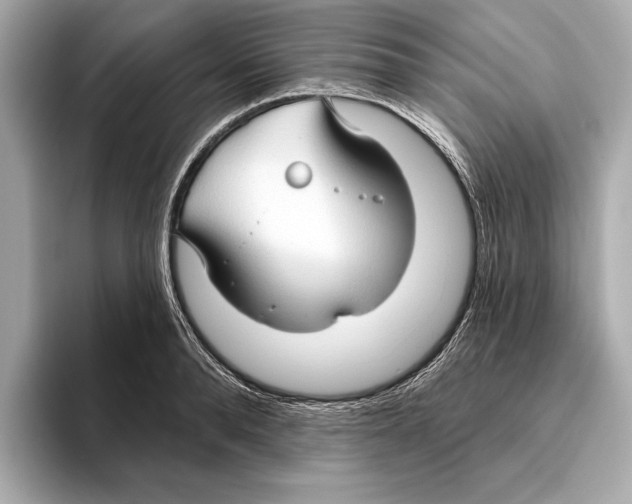 X0000095680896200802051248