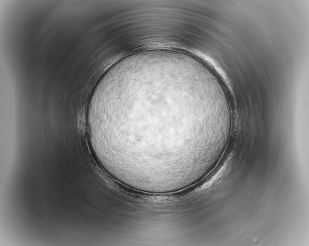 X0000095680897200802051248