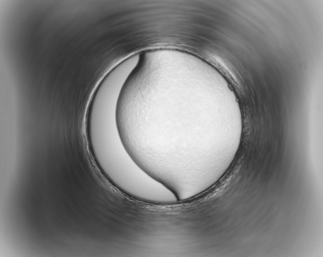 X0000095680900200802051248