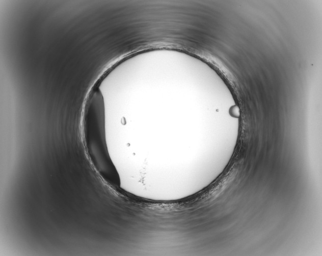 X0000095680902200802051248