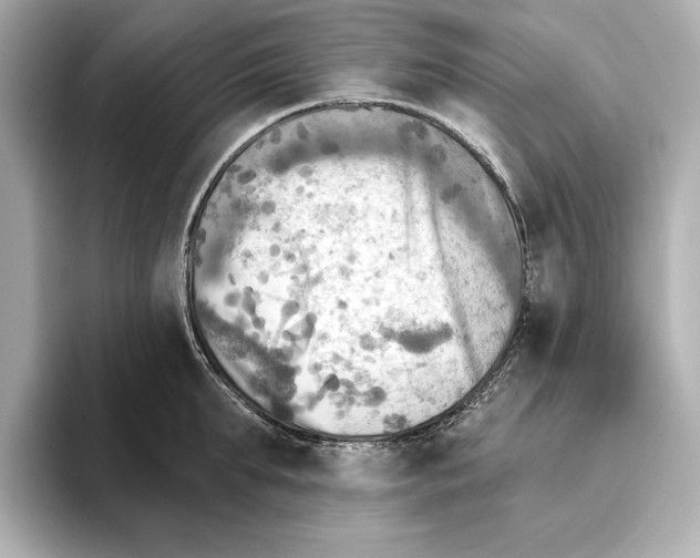 X0000095680903200802051248