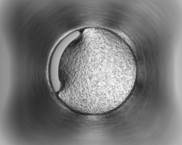 X0000095680904200802051248