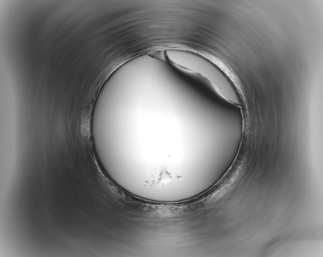 X0000095680905200802051248