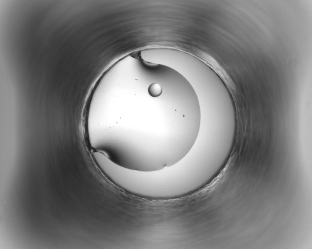 X0000095680908200802051248