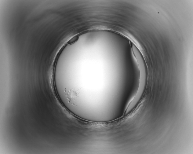 X0000095680909200802051248