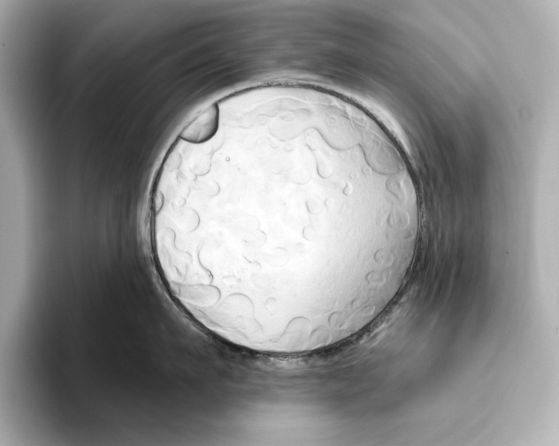 X0000095680911200802051248