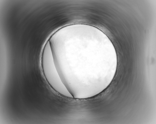 X0000095680912200802051248