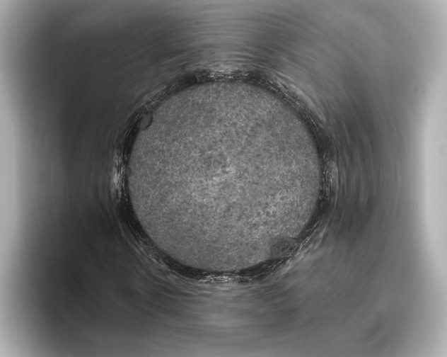 X0000095680914200802051248