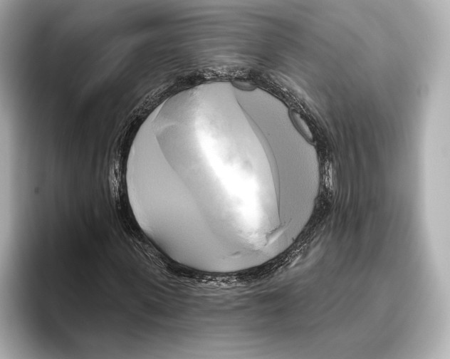 X0000095680915200802051248