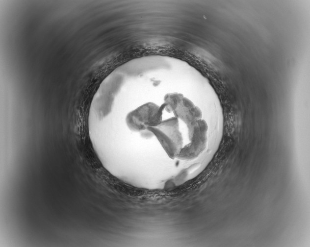 X0000095680917200802051248