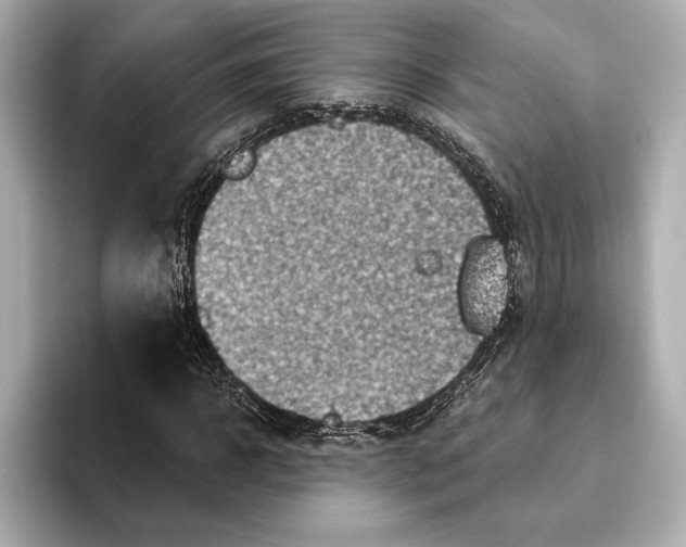 X0000095680918200802051248