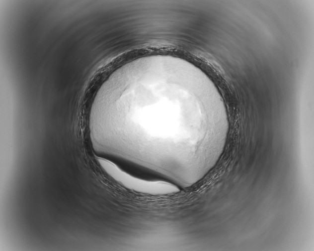 X0000095680920200802051248