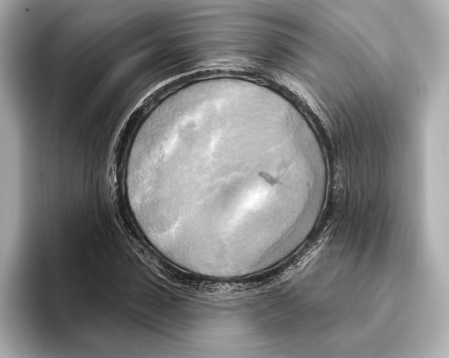 X0000095680923200802051248