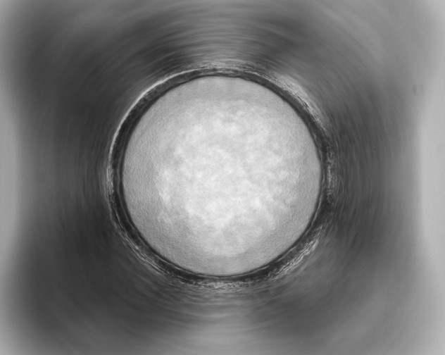 X0000095680924200802051248