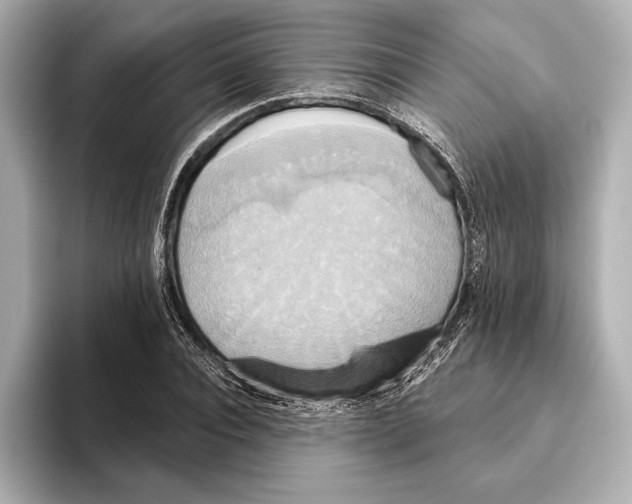 X0000095680928200802051248