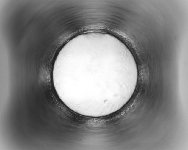 X0000095680929200802051248