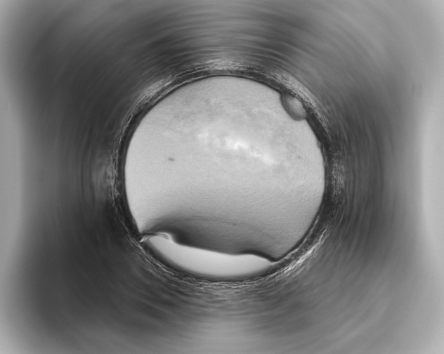 X0000095680930200802051248