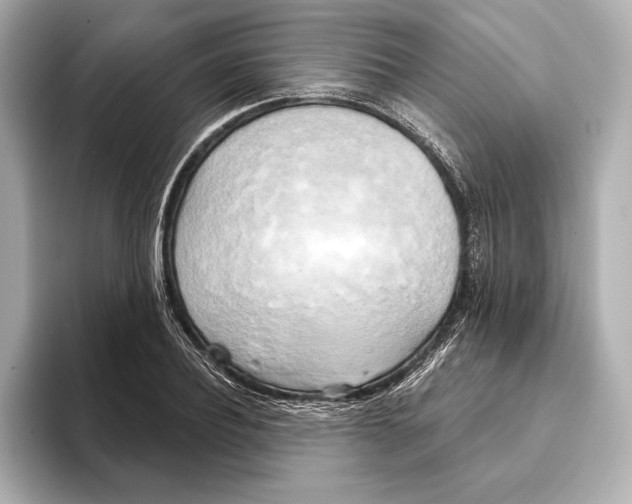 X0000095680932200802051248