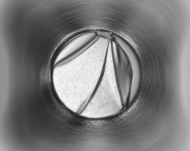 X0000095680934200802051248