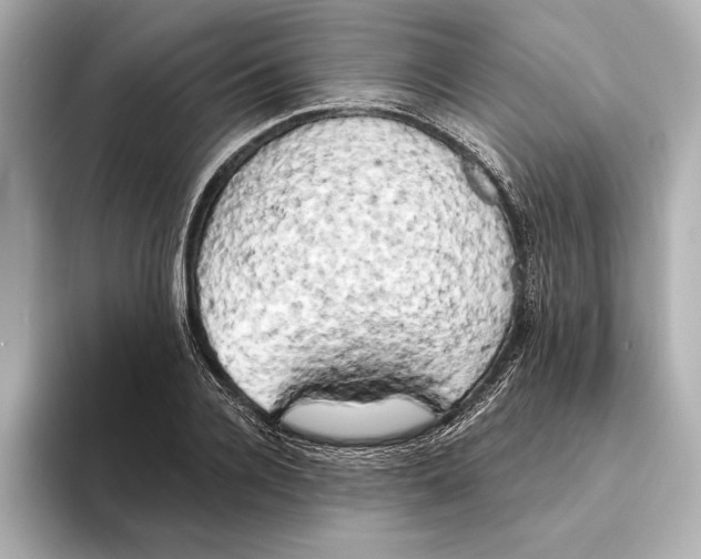 X0000095680936200802051248