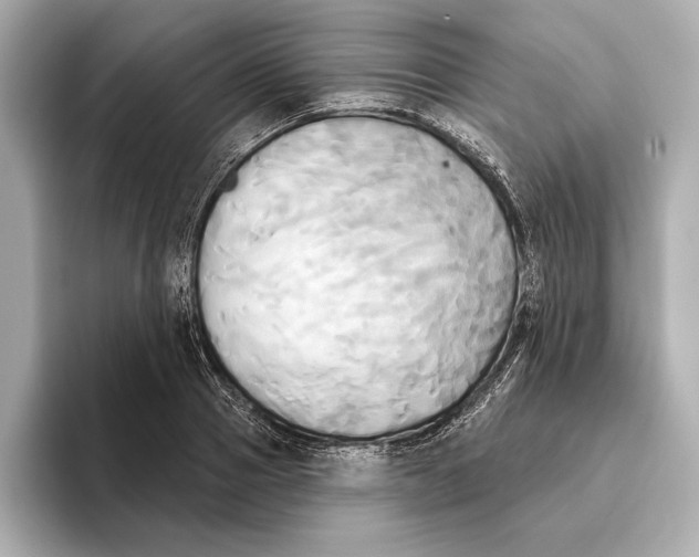 X0000095680937200802051248