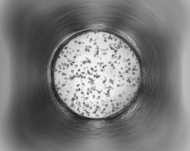 X0000095680939200802051248