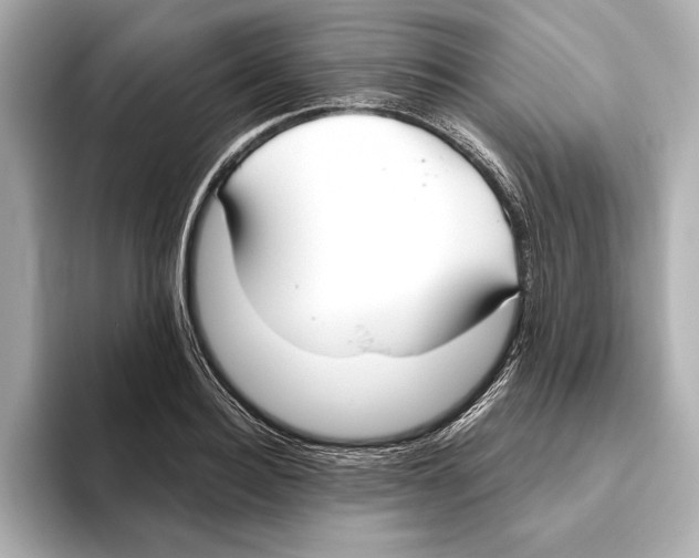 X0000095680940200802051248