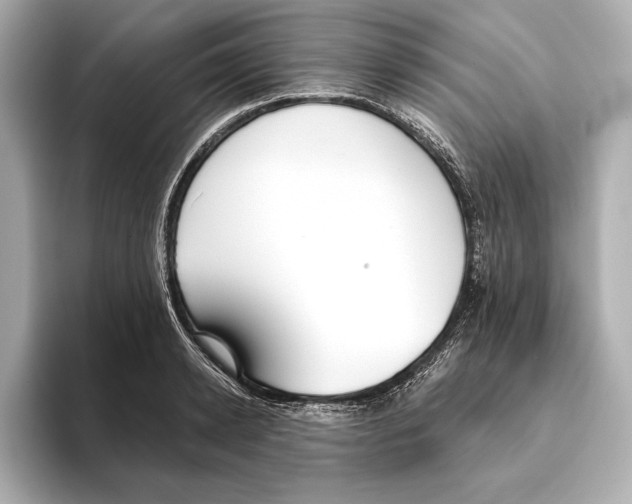 X0000095680942200802051248