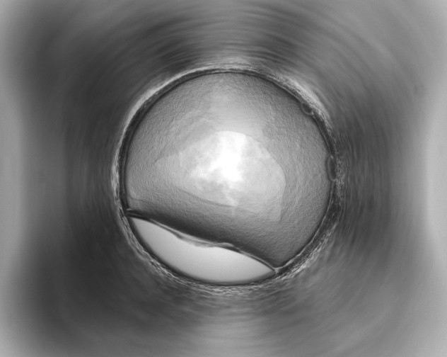 X0000095680944200802051248