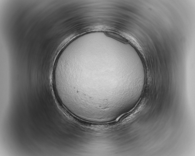 X0000095680946200802051248