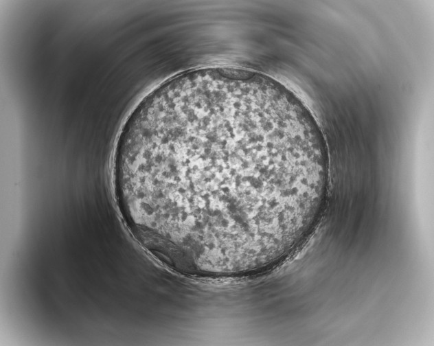 X0000095680949200802051248