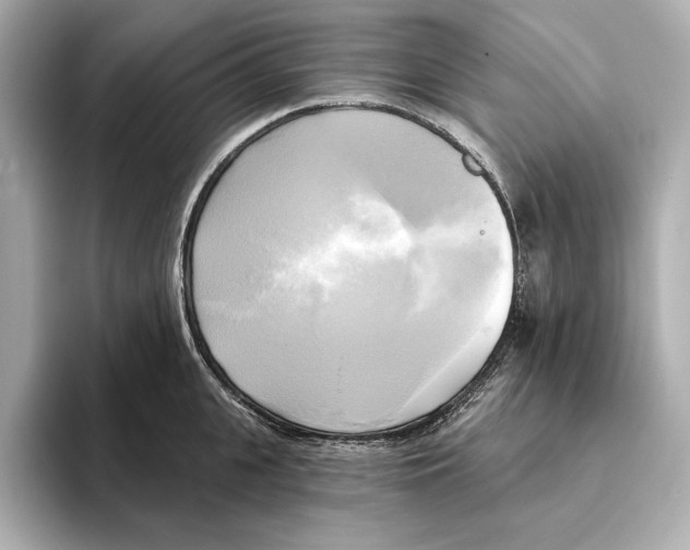 X0000095680951200802051248