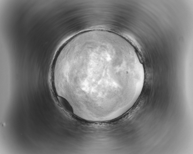 X0000095680952200802051248