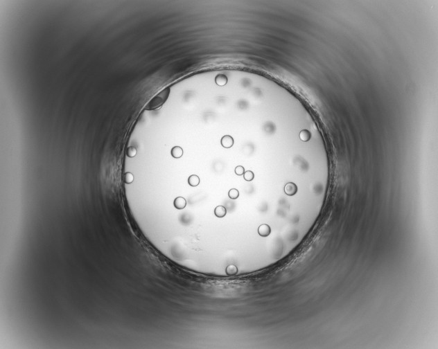 X0000095680953200802051248