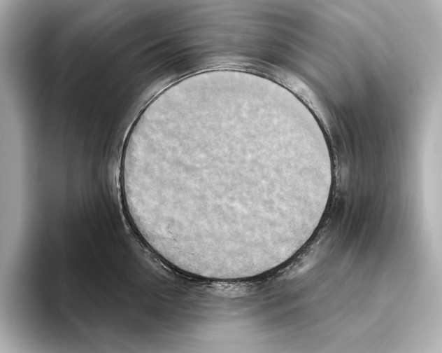 X0000095680954200802051248