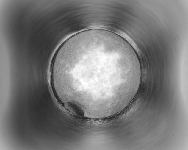 X0000095680955200802051248