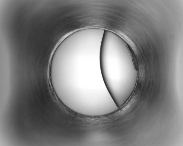 X0000095680956200802051248