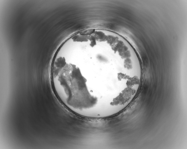 X0000095680957200802051248