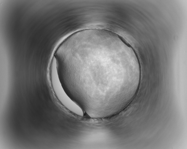 X0000095680960200802051248