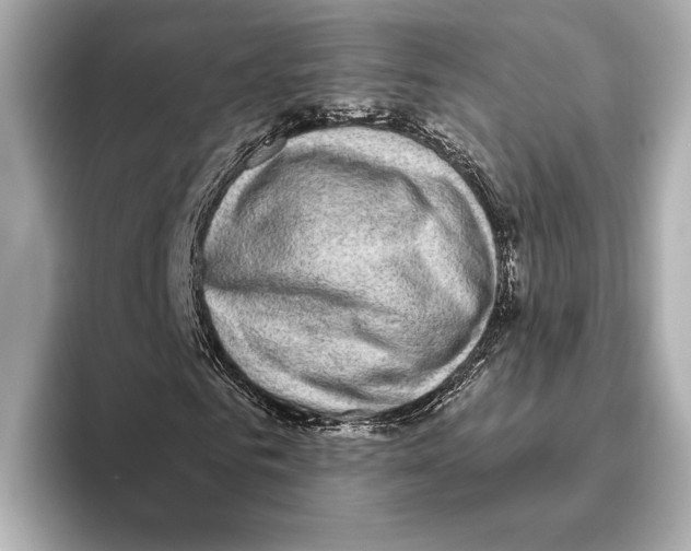 X0000095680961200802051248