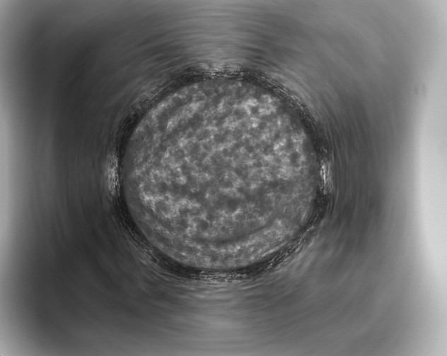 X0000095680963200802051248